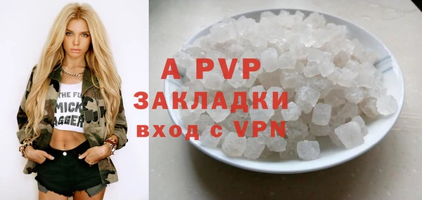 стаф Аркадак