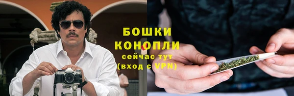 стаф Аркадак