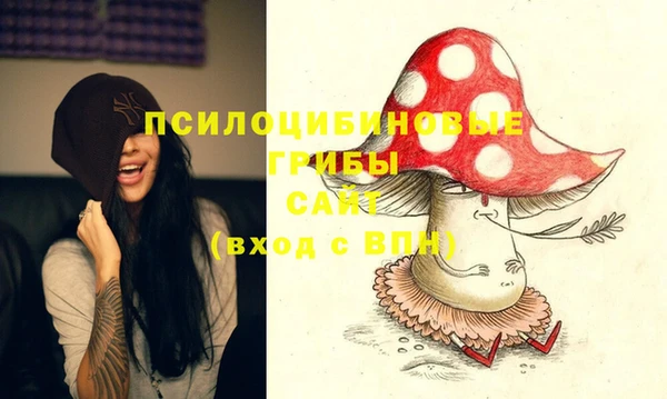 соль ск Алексеевка