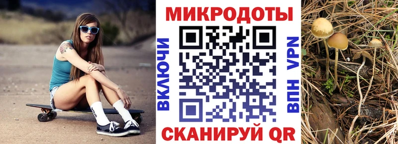 наркотики  Горнозаводск  Псилоцибиновые грибы прущие грибы 